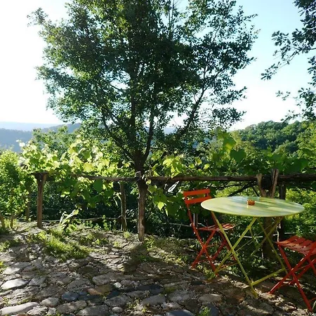Mas De Bourlenc Couette-café *