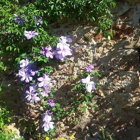 Mas De Bourlenc
